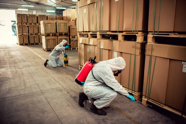 Professional Pest Control in Plum, PA