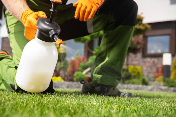 Best Pest Control for Businesses  in Plum, PA