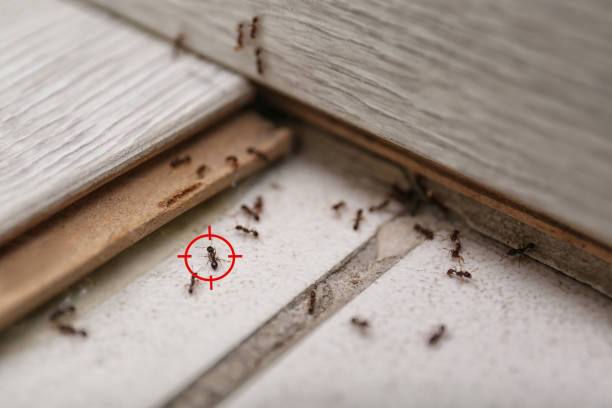 Best Pest Control for Restaurants  in Plum, PA
