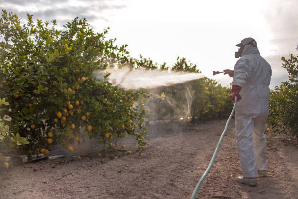 Best Cockroach Control Services  in Plum, PA