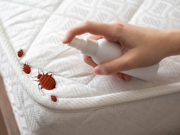 Best Local Pest Control Services  in Plum, PA