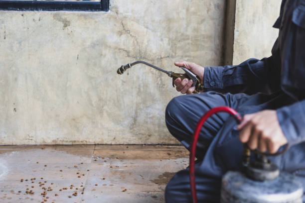 Best Residential Pest Control  in Plum, PA