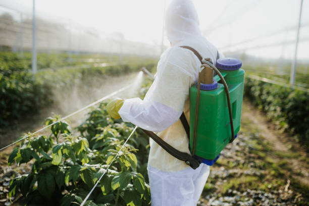 Best Emergency Pest Control  in Plum, PA